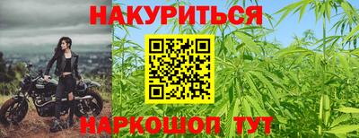 не бодяженный Сланцы