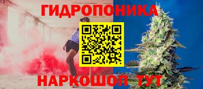 не бодяженный Сланцы