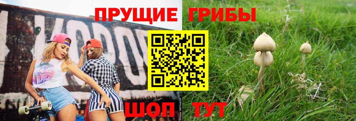 Новороссийск  Галлюциногенные грибы Psilocybine cubensis  Вход с VPN  Псилоцибиновые грибы мицелий 