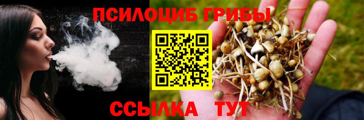 Галлюциногенные грибы мицелий Новороссийск